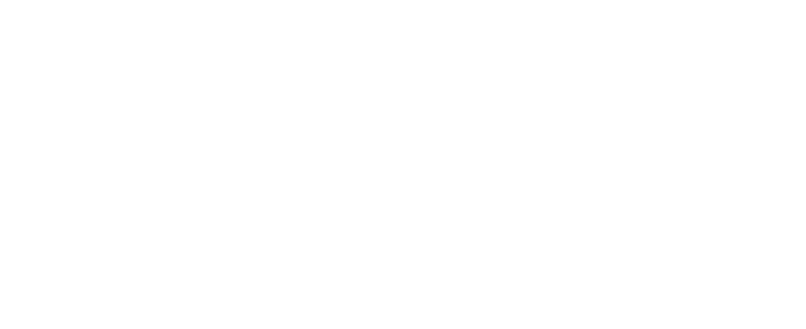 The JSN Network